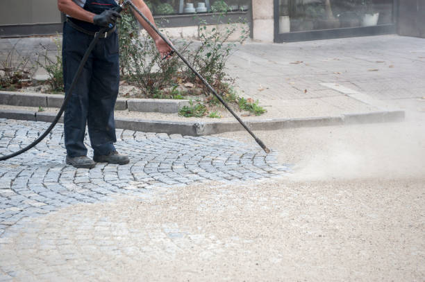 Best Animal Enclosure Cleaning  in Tripoli, IA
